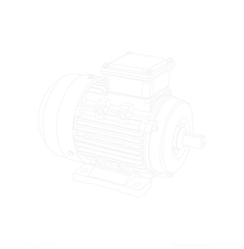 Company Profile